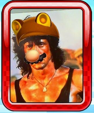 005_Mario tanooki moustahce.JPG